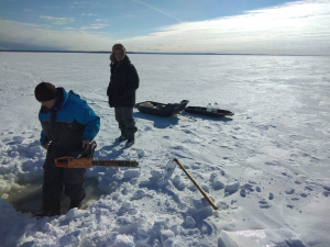 Специалисты Карельского филиала ВНИРО провели зимние наблюдения за ихтиофауной  Онежского озера